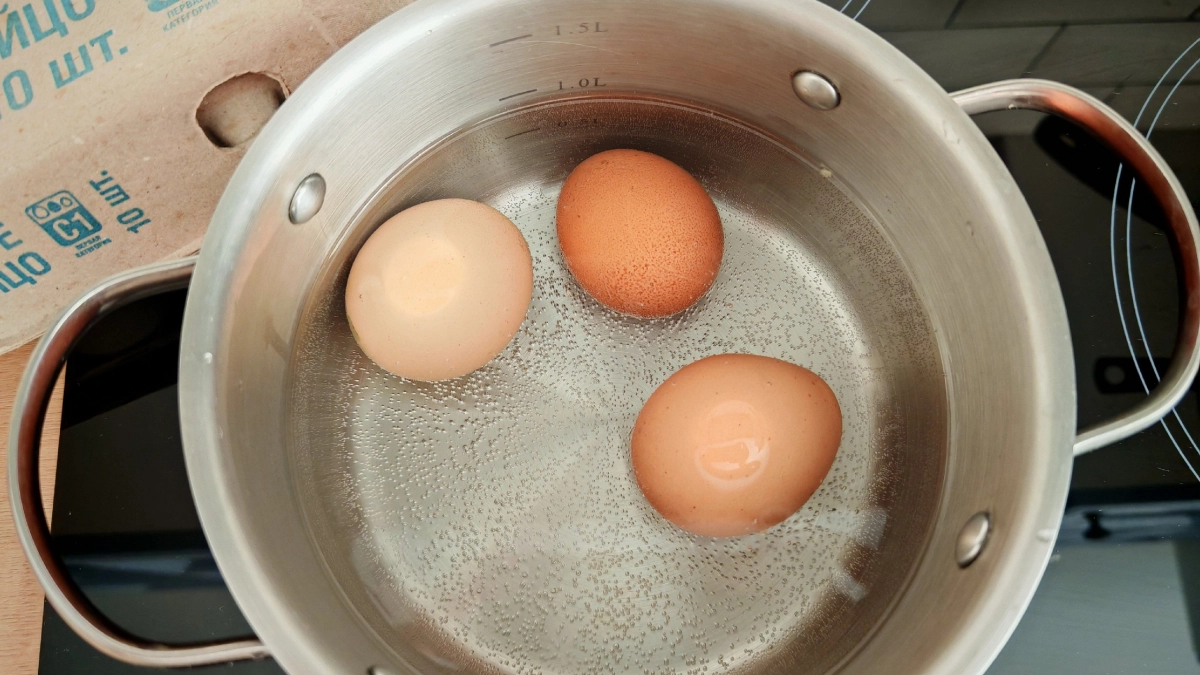 Крупные — не значит лучшие: секреты выбора куриных яиц в магазине, о которых молчат продавцы