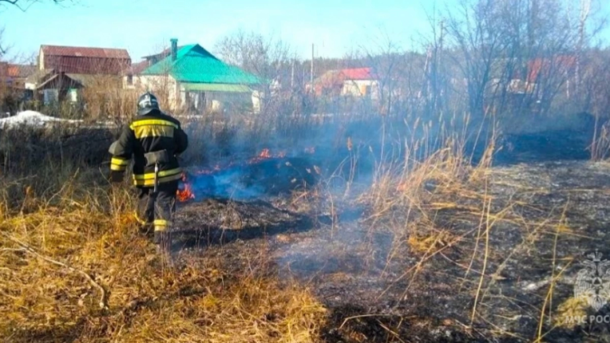 Первые весенние палы травы охватили два района Курской области