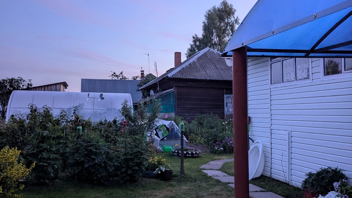 Без укусов и паники: как избавиться от ос на участке — лайфхаки для дачников