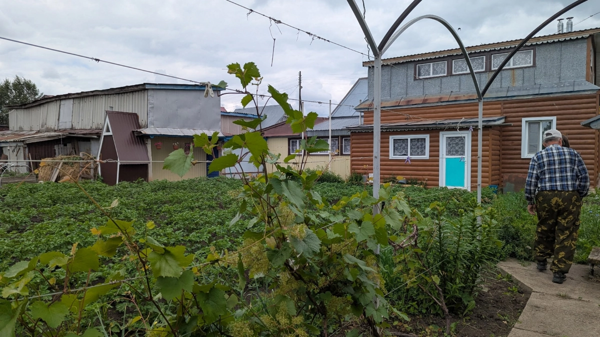 Дача больше не спасение: почему пенсионеры теряют деньги на своём участке — раскрываем все подводные камни