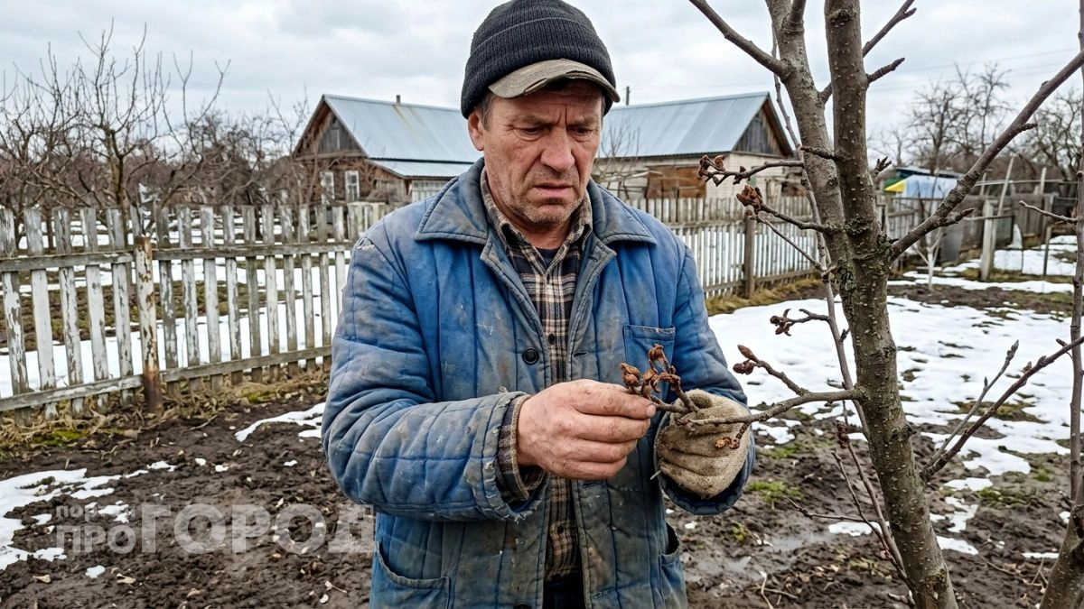 Дачники рискуют остаться ни с чем — синоптики назвали опасные даты апрельских заморозков 2026 года