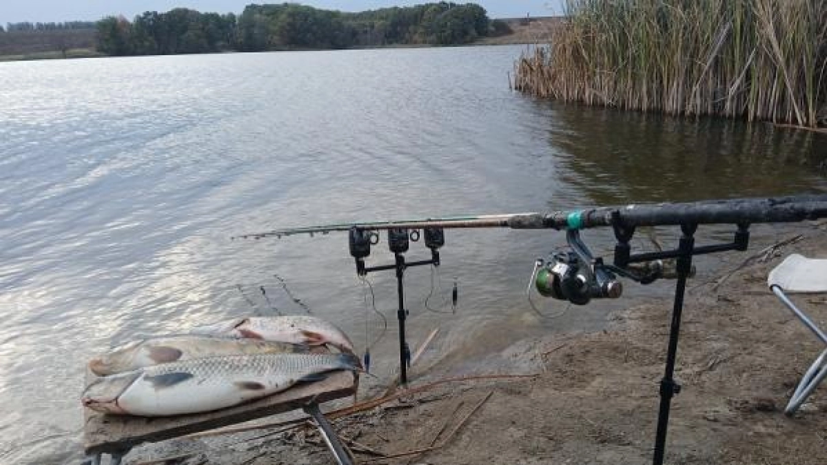 В Курской области запретили рыбалку на нерест до начала июня