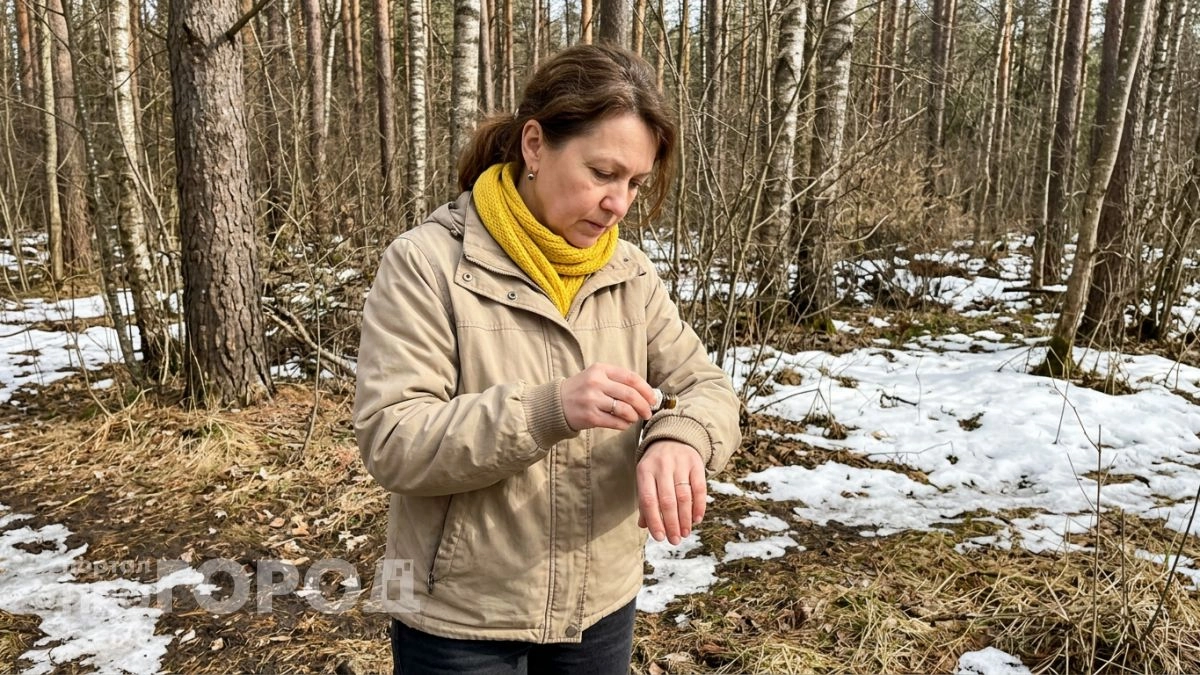 Капаю на одежду средство за 45 рублей из аптеки и клещи даже близко не подходят весь день