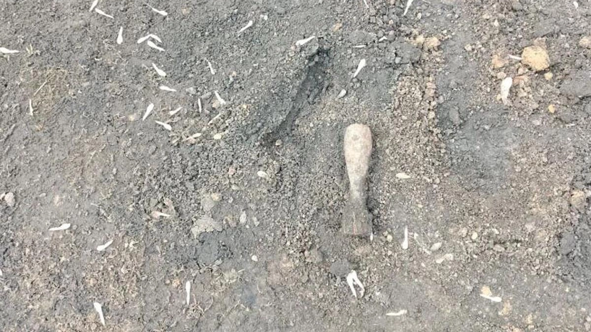 В Курской области нашли две мины времён ВОВ у деревни Сергеевка