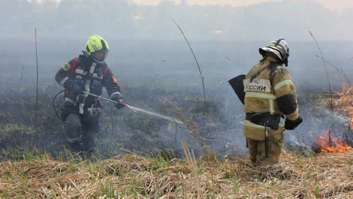 В Курске за весну зафиксировали 8 пожаров из-за сжигания мусора и травы