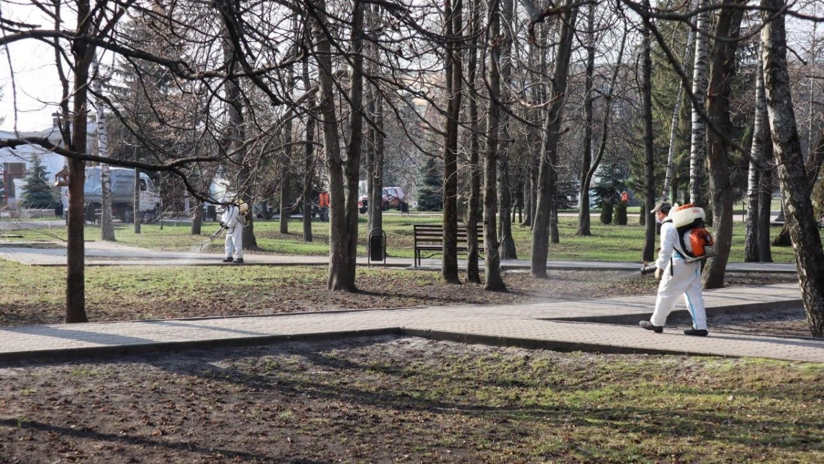Первомайский парк Курска закрыли на сутки из-за обработки от клещей