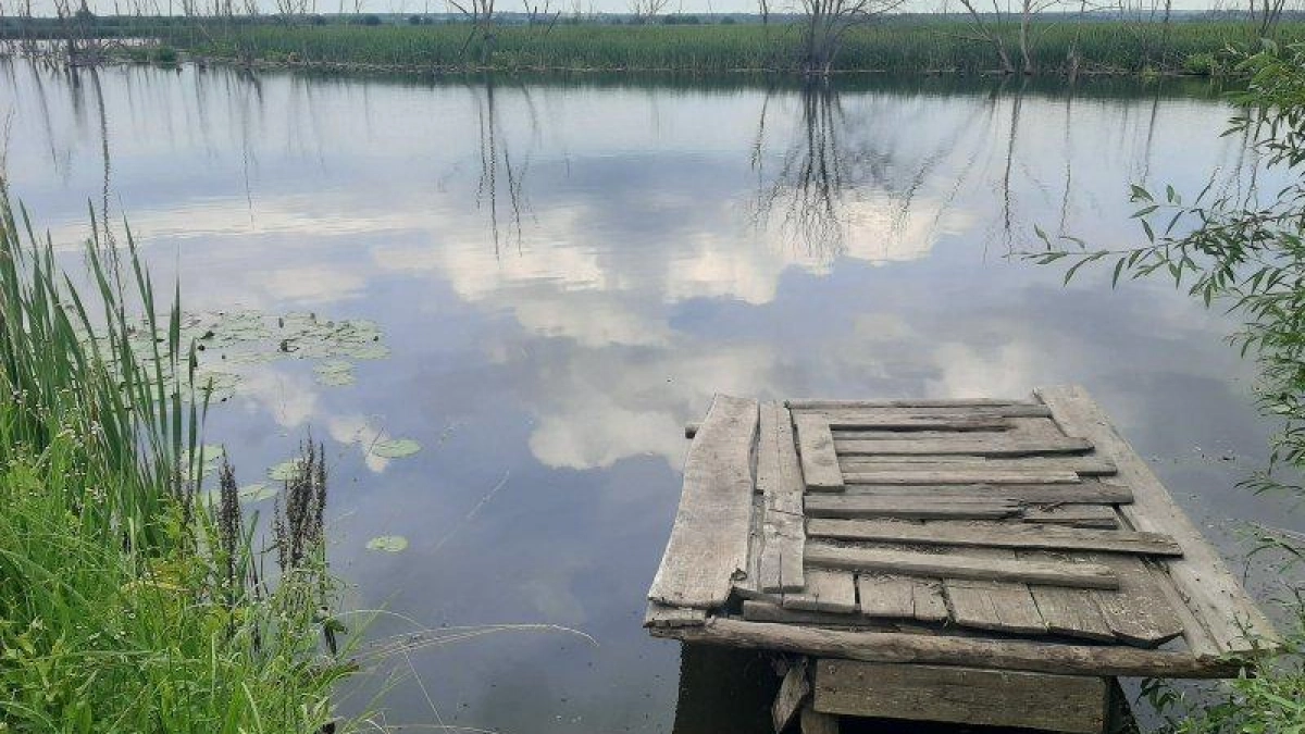 Роспотребнадзор проверил 500 проб воды в Курской области: результаты в норме