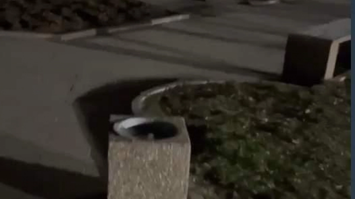 Мэр Курска объехал парки ночью и нашёл нарушения после жалоб в соцсетях