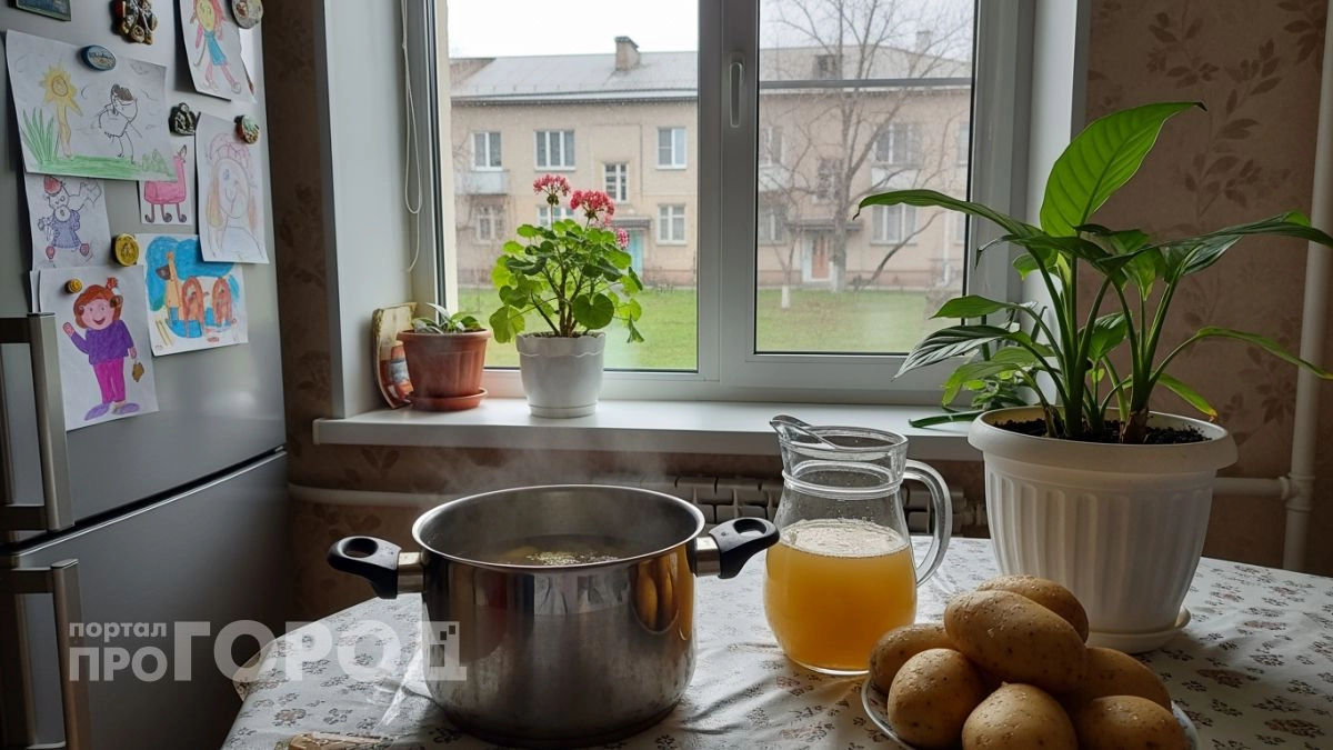 Перестала сливать отвар от картофеля в канализацию: теперь экономлю на удобрениях и бытовой химии каждый месяц