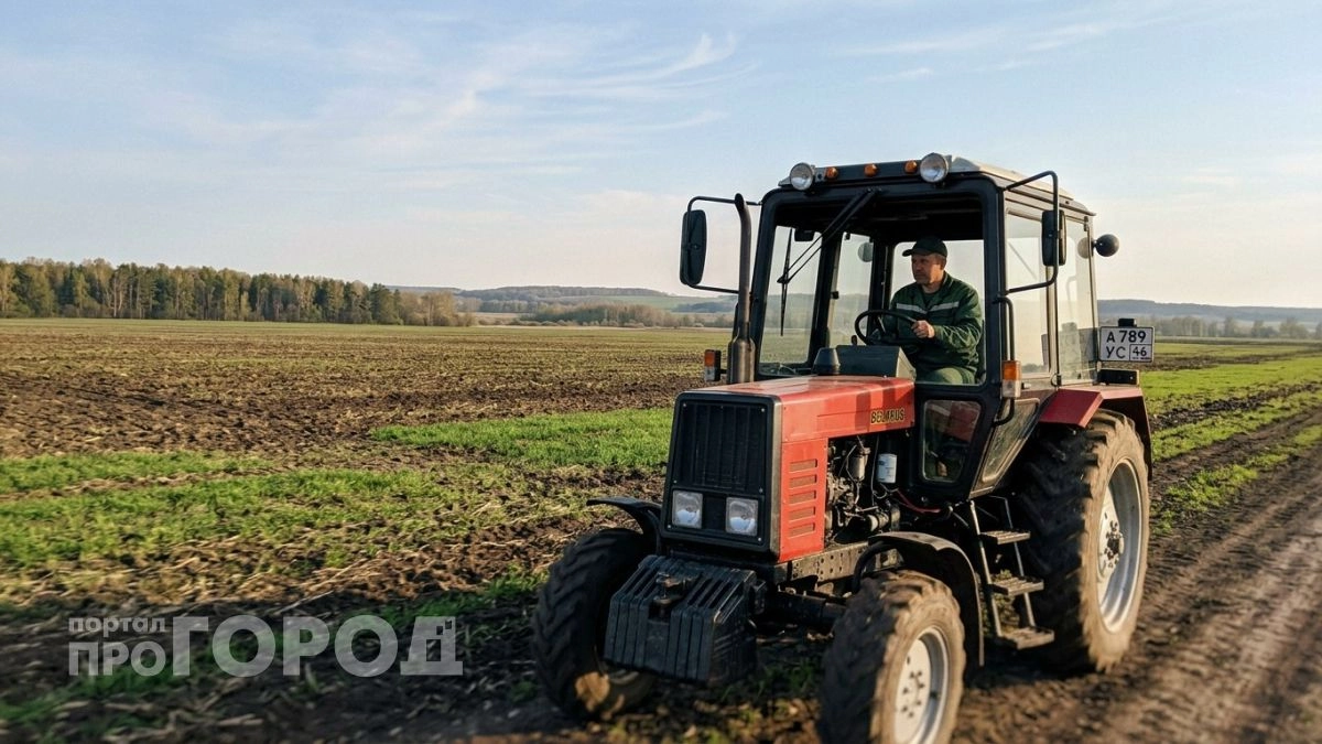 Не только базовый минимум: курская глубинка живет лучше большей части страны - уровень зарплат