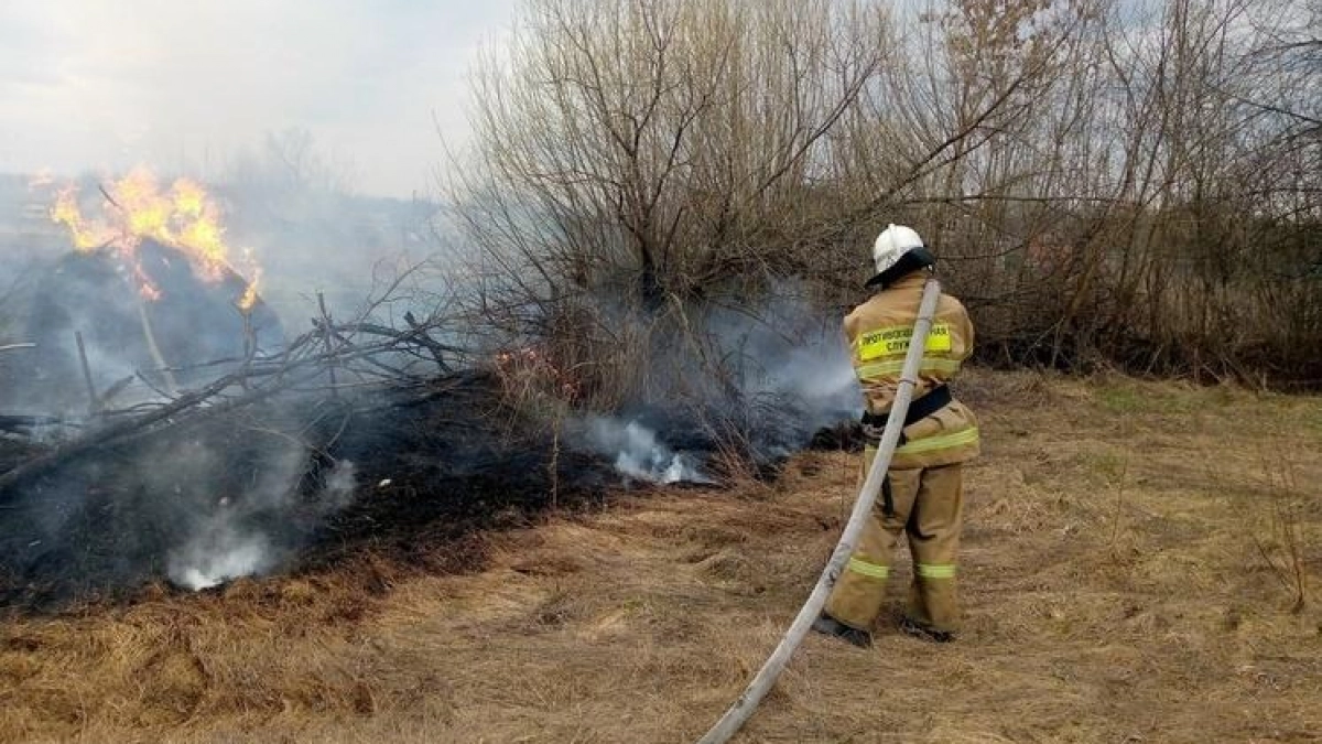 Пожарные дважды за день отстояли дачный поселок под Курском от огня