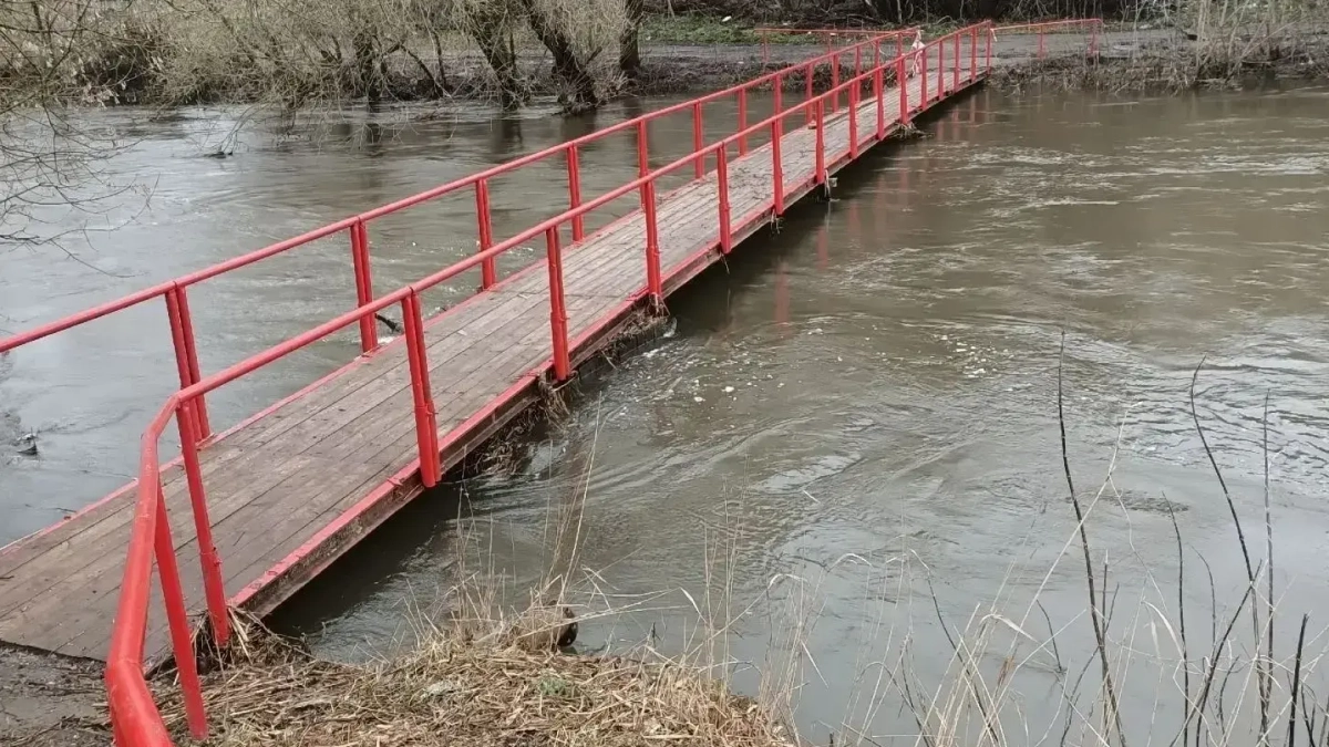 В Курске открыли два моста после спада воды в протоке Кривец