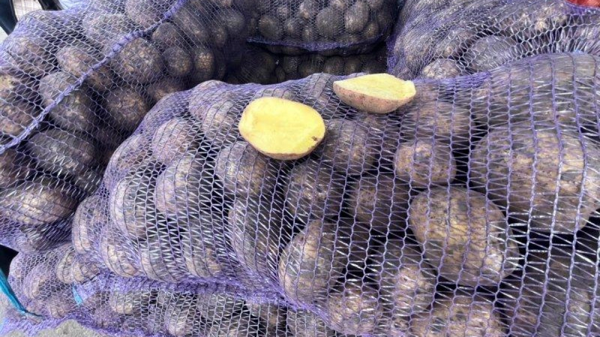 В Курске торговые сети предупредили об ответственности за ценовые сговоры