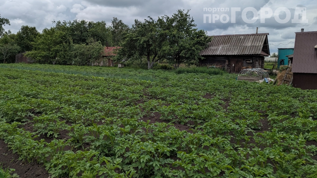 6 соток кажутся 12: как сделать маленький участок в 2 раза больше — станет просторнее без вложений