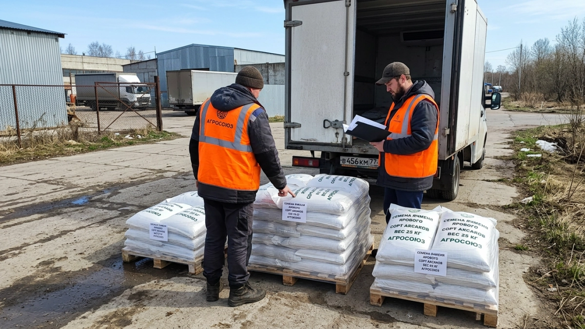 Россельхознадзор не пустил 0,48 тонны семян клевера с повиликой в Курскую область