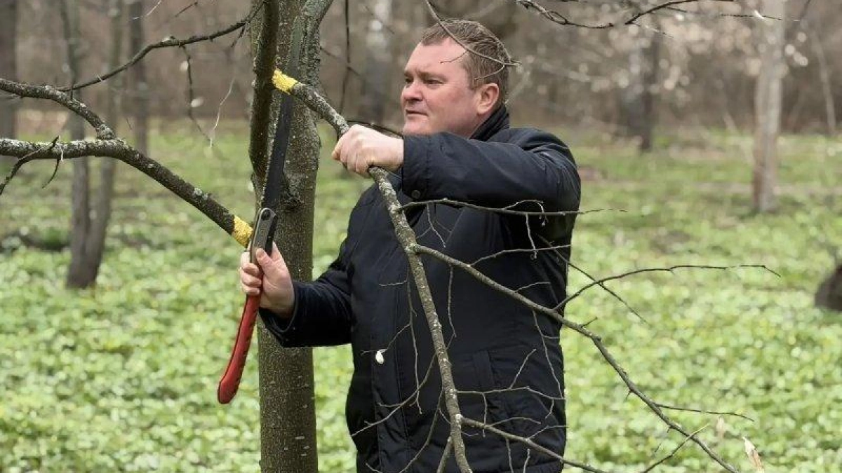 Министр природных ресурсов лично взялся за обрезку лип на Боевке