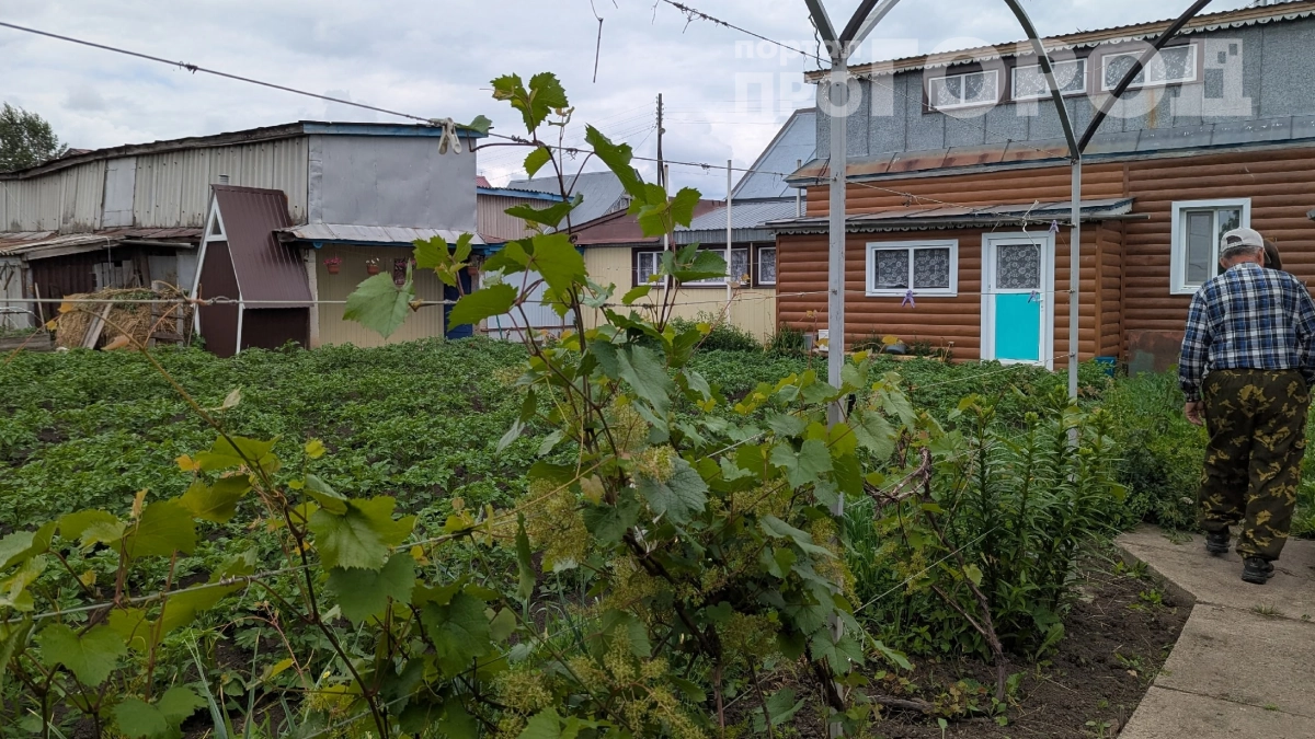 Не покупайте, получите даром: Россиянам рассказали, кто имеет право на бесплатный земельный участок