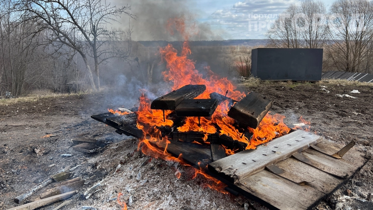 Иностранец заплатил 500 евро за гнилой сарай: почему мы не видим ценность старого дерева