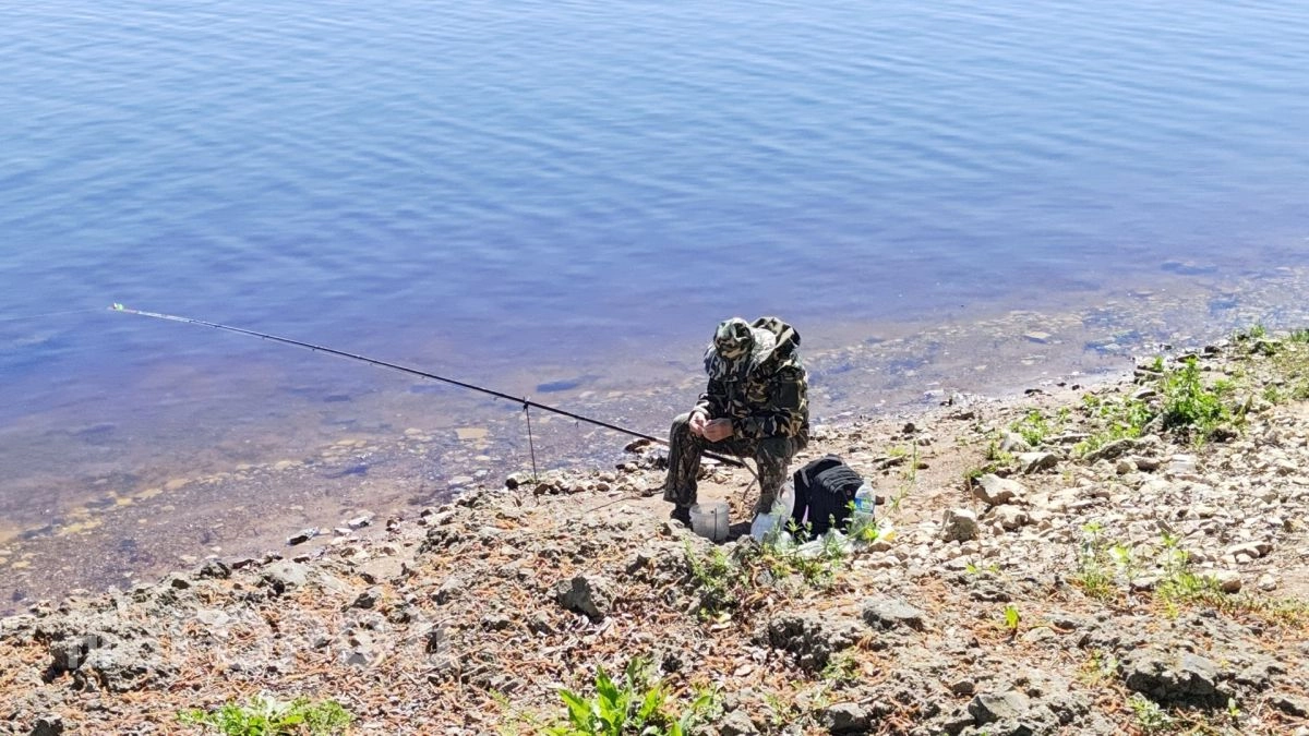 Карп, судак и сом ждут: лучшие места для рыбалки в Курской области — бесплатные и платные