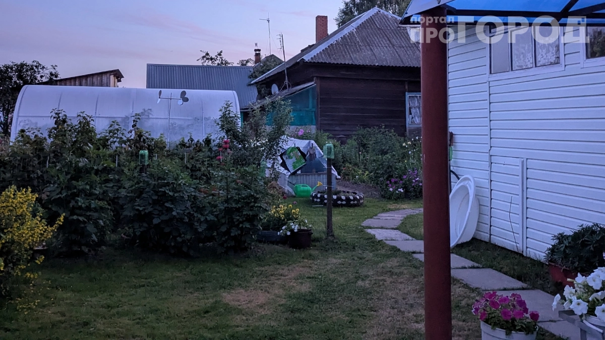 Плитка в огороде — колхозный вариант: дорожки из мусора оказались лучше бетона — и абсолютно бесплатно