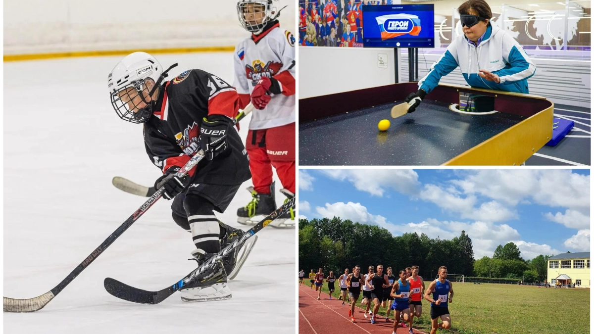 Три спортивные федерации Курской области получили аккредитацию на срок до 4 лет