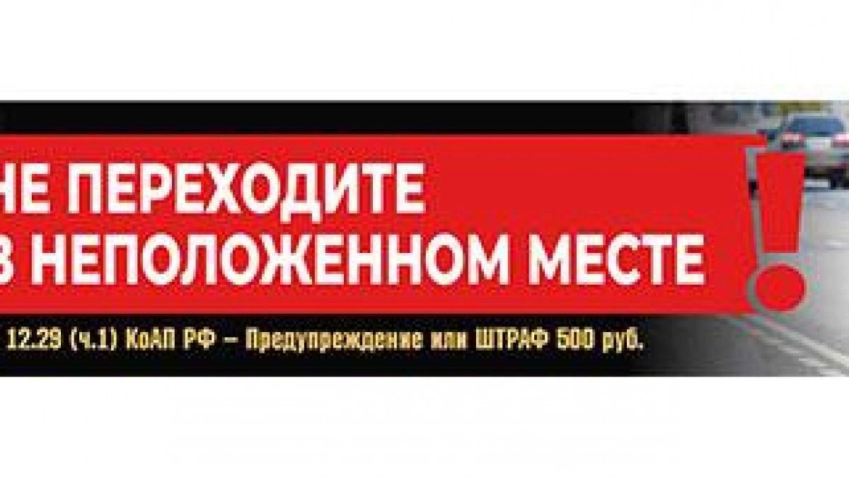 Студенты Курска испекли куличи по домашним рецептам для бойцов «Севера»