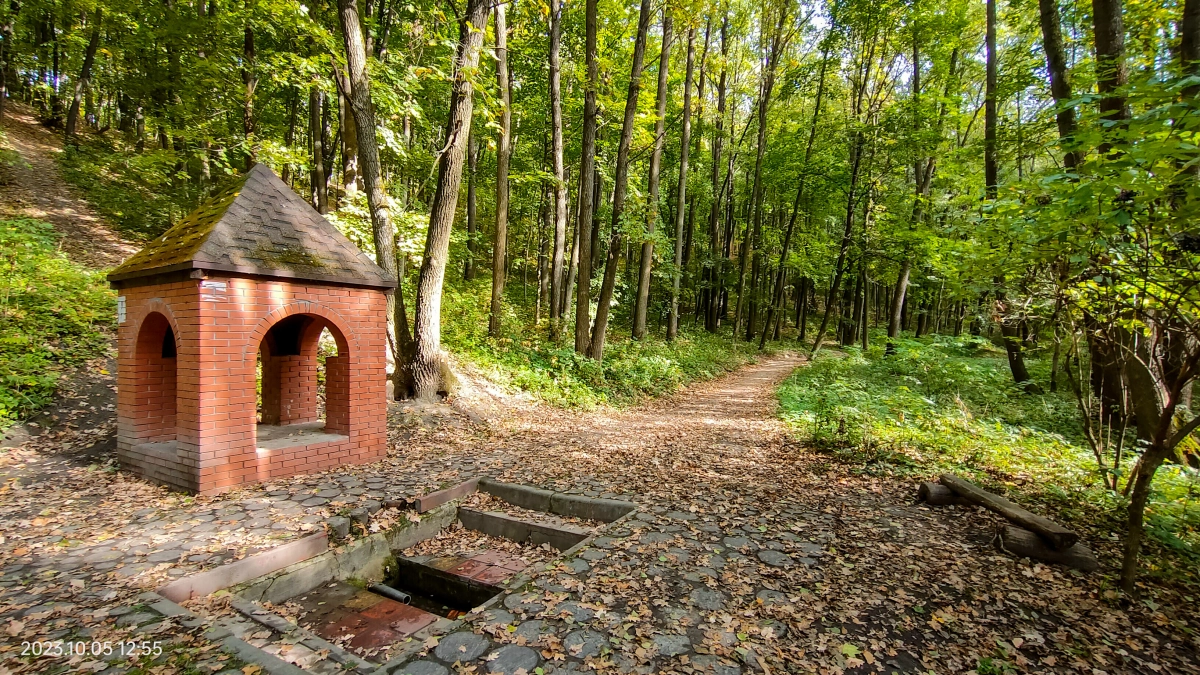 Живая вода Курской земли: целебные источники, к которым едут со всей России