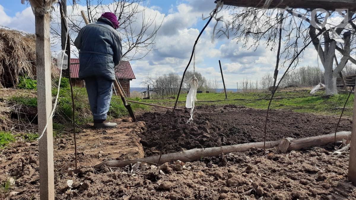 Как я отказалась от перекопки и получила землю как пух: лопата и грабли стоят без дела 