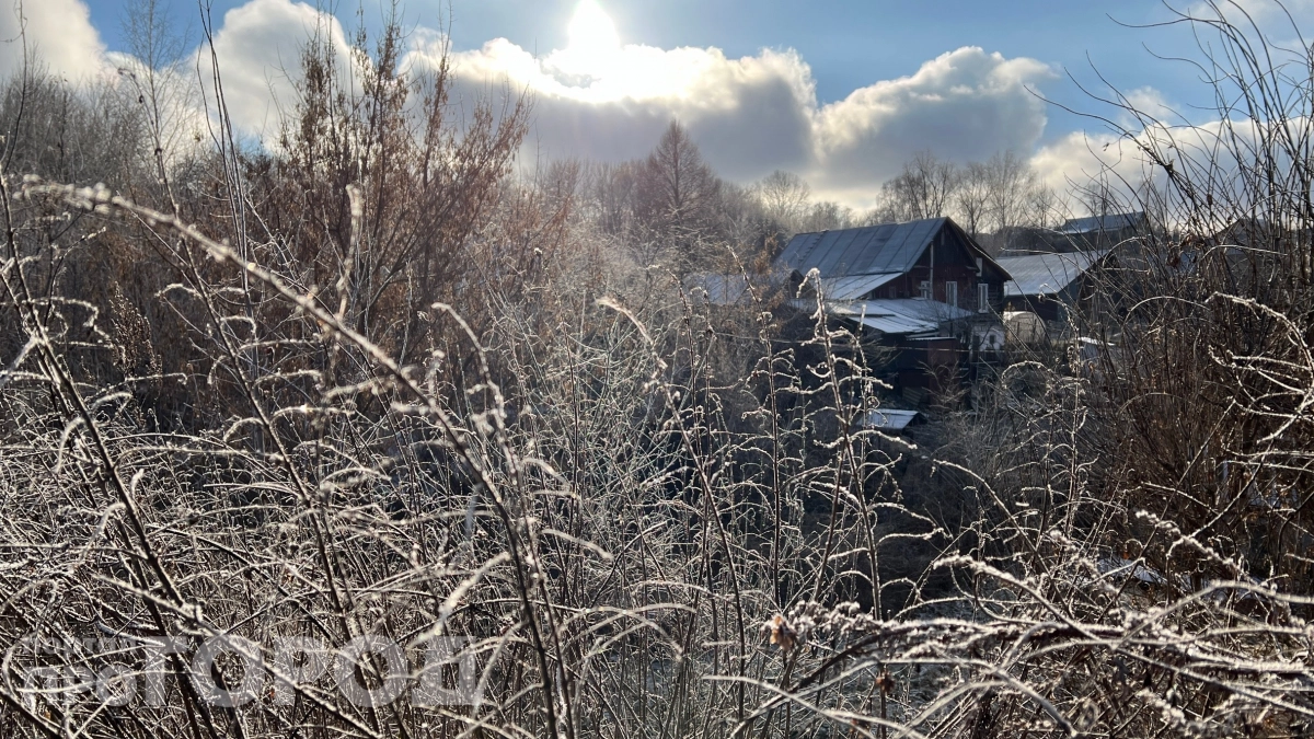 Минус 4 °C среди весны: юг России накрывают заморозки — проверьте, в зоне ли вы риска