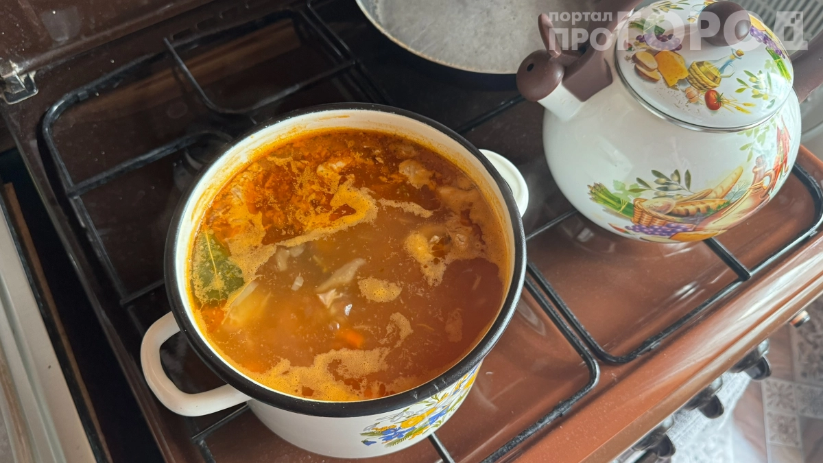 Бактерии размножаются со скоростью света: почему опасно оставлять еду на плите — проверьте себя