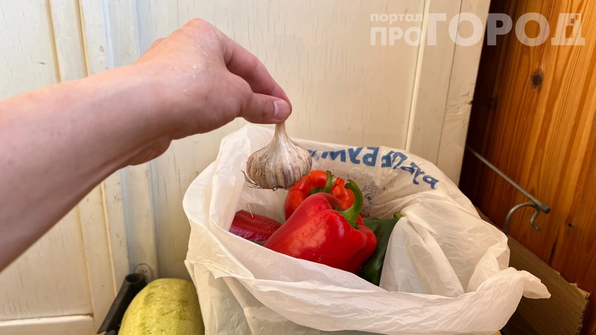 Выбросьте, но не отдавайте: почему излишки урожая лучше не отдавать — 5 неожиданных последствий