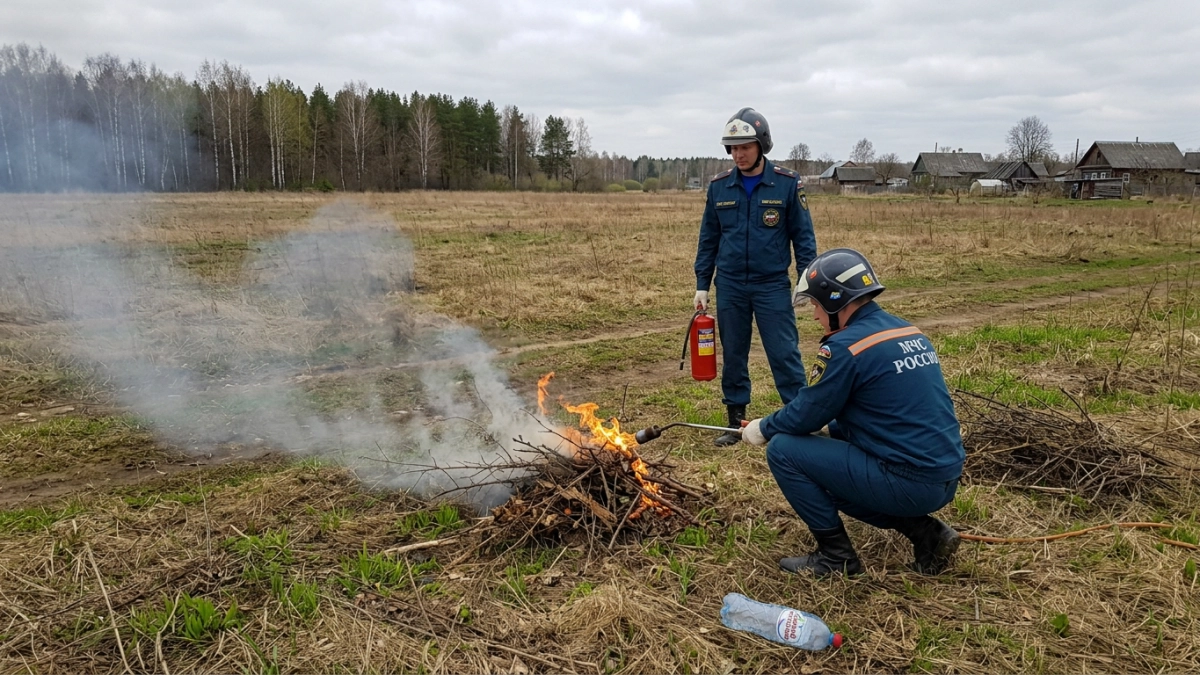 В Курской области за сутки зафиксировали три пожара и 46 контролируемых отжигов