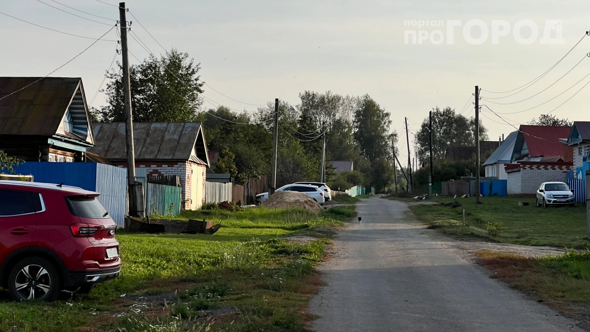 Помыл машину на даче — попал на штраф: юрист объяснила, почему за это могут наказать