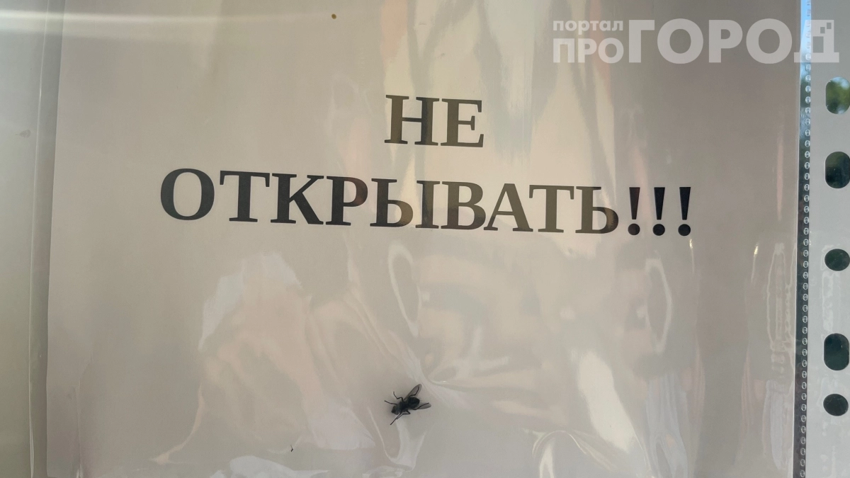 Комары и мошки сбегут с вашей веранды: простой трюк с фольгой и манкой — действенный и безопасный
