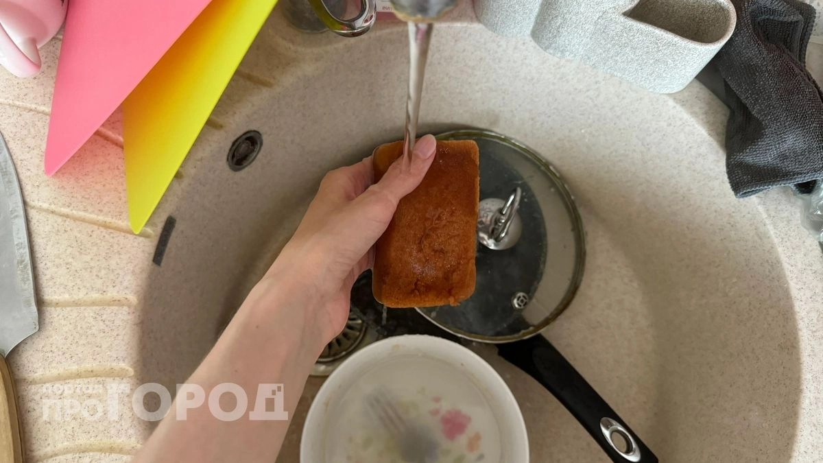 Вы пользуетесь губкой для посуды неправильно: узнайте точный срок её службы, чтобы не разводить бактерии на кухне