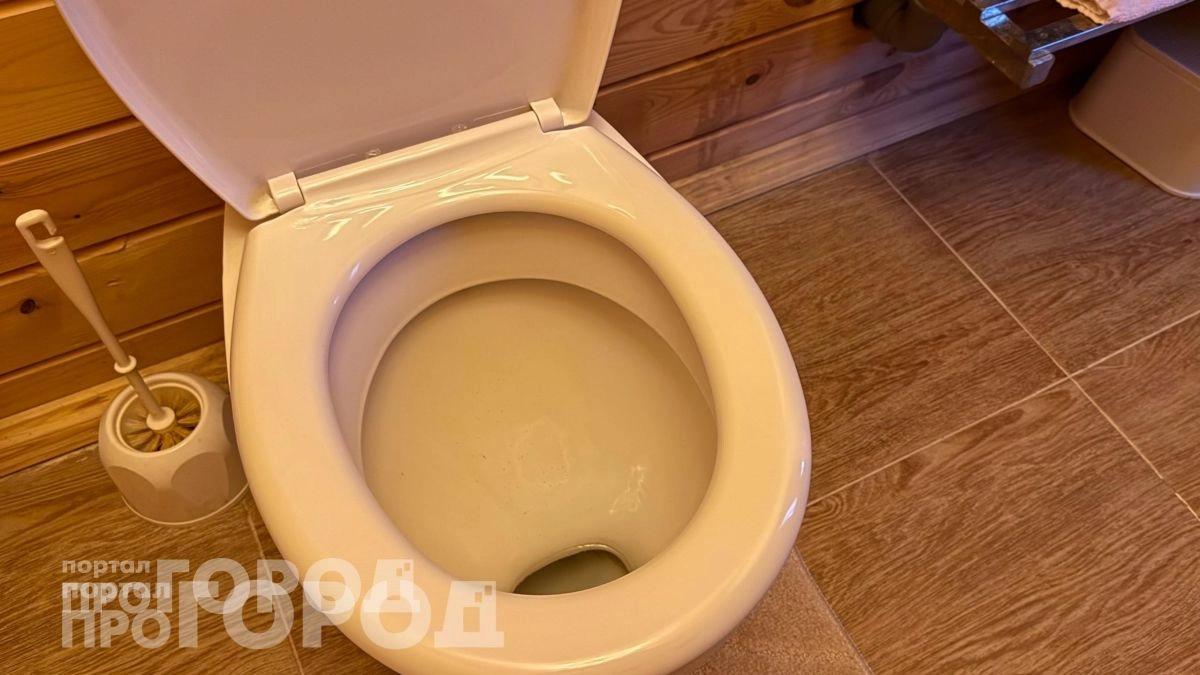 Больше не тру сантехнику до боли: заливаю этот бюджетный состав на ночь и весь известковый налет уходит сам