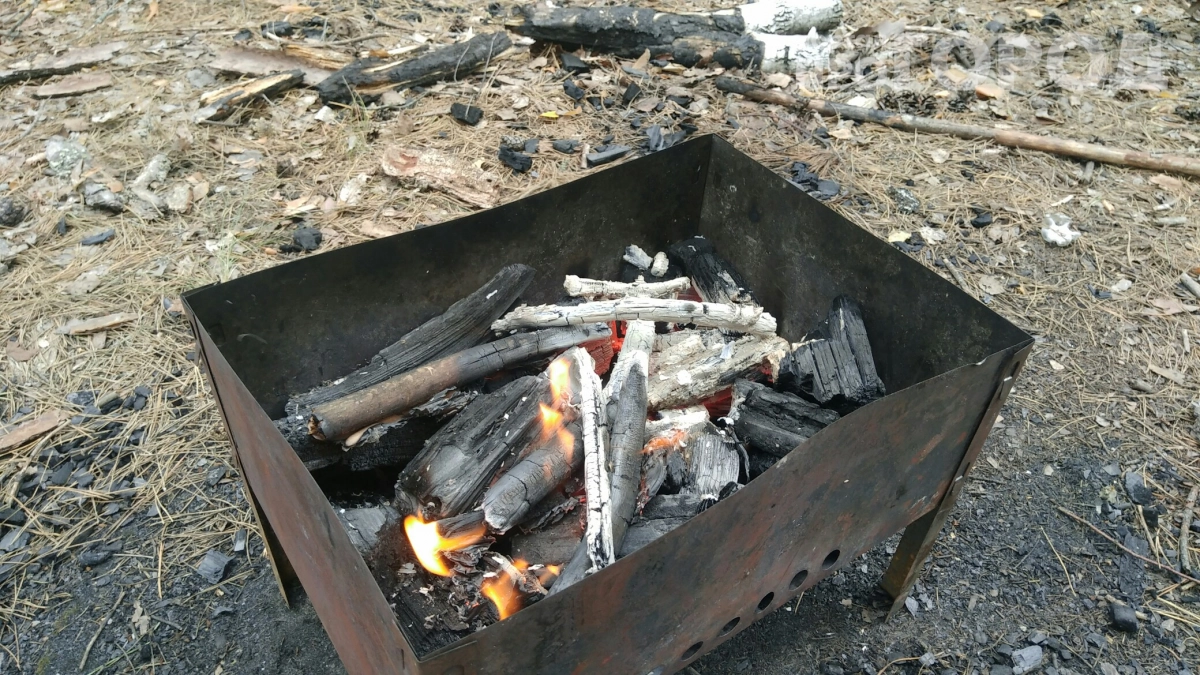 Уголь за 299 рублей и мангал за 279: что ещё купить к майским праздникам в Фикс Прайсе — полный обзор новинок