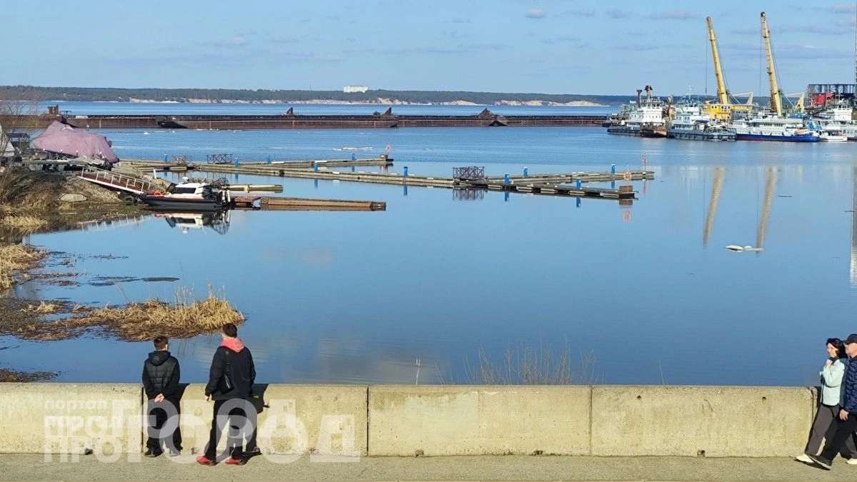 Магнит для успеха: проверьте эти 7 имен, которые притягивают счастье к своим обладателям с самого рождения