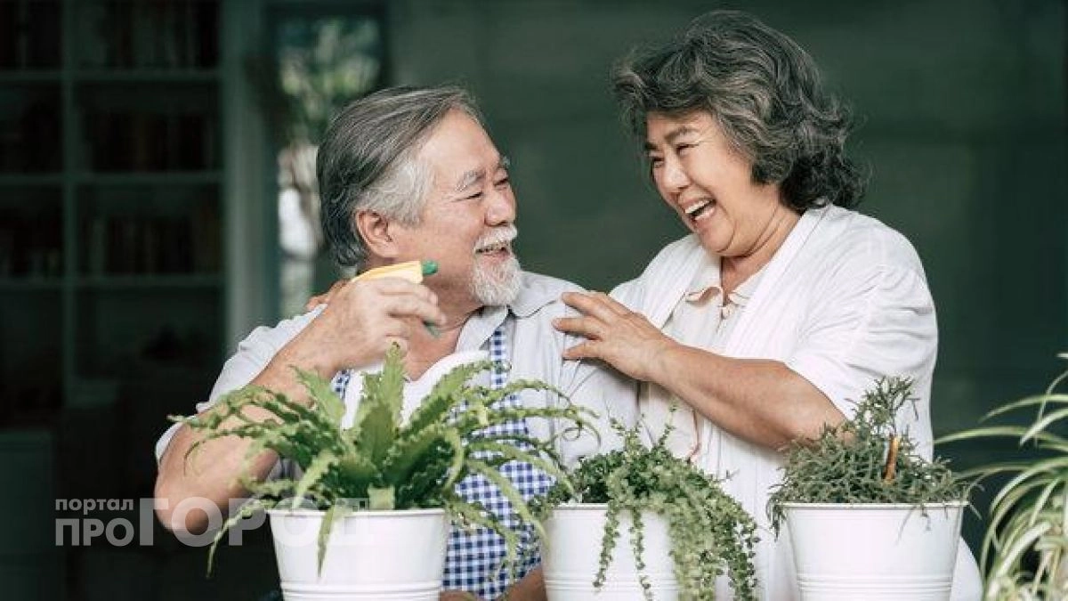 Продукт для долголетия, который есть на кухне каждого японца: одна привычка для крепкого здоровья до ста лет