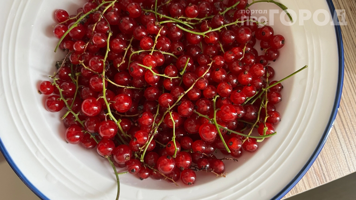 Американец чуть не вызвал полицию, увидев мой десерт: в США эту ягоду выкорчёвывали с топорами, а у нас она растет в каждом дворе