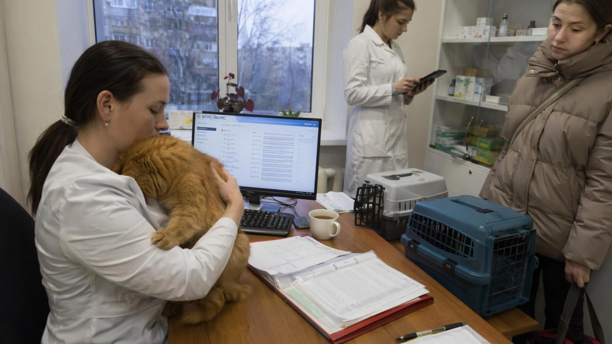 17 питомцев из Курской области разъехались по 14 странам мира