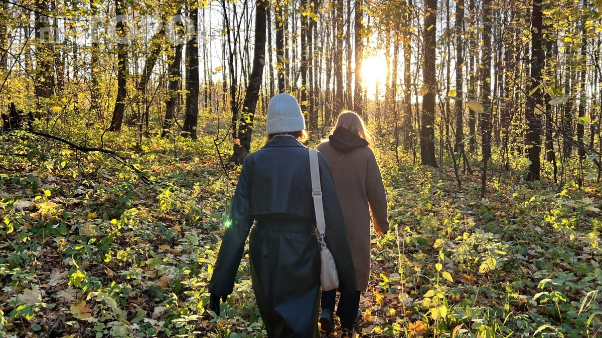 Конец апреля 2026 года перевернёт жизнь 5 знаков Зодиака: вот кому Вселенная приготовила сюрприз — проверьте, есть ли ваш