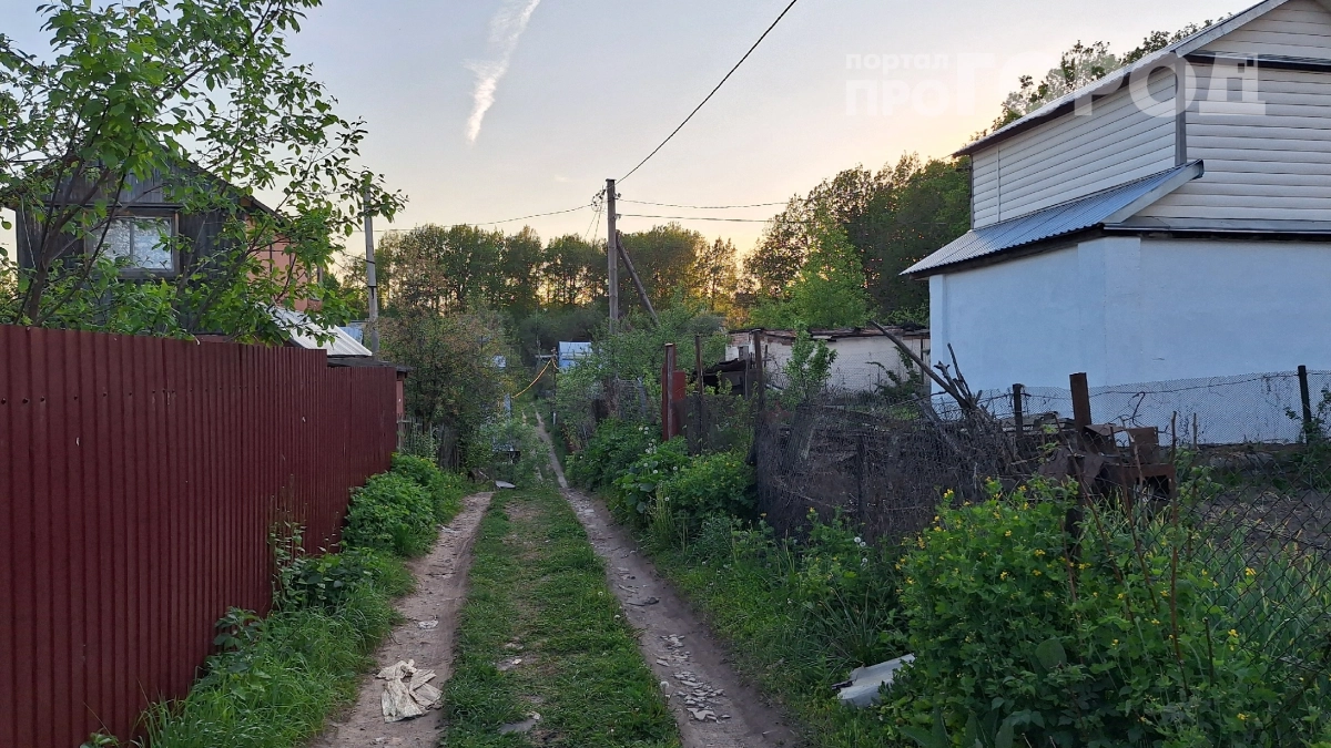 Слива не плодоносит — всё дело в апреле: 3 подкормки, которые превратят пустые ветки в урожайные — секрет опытных садоводов
