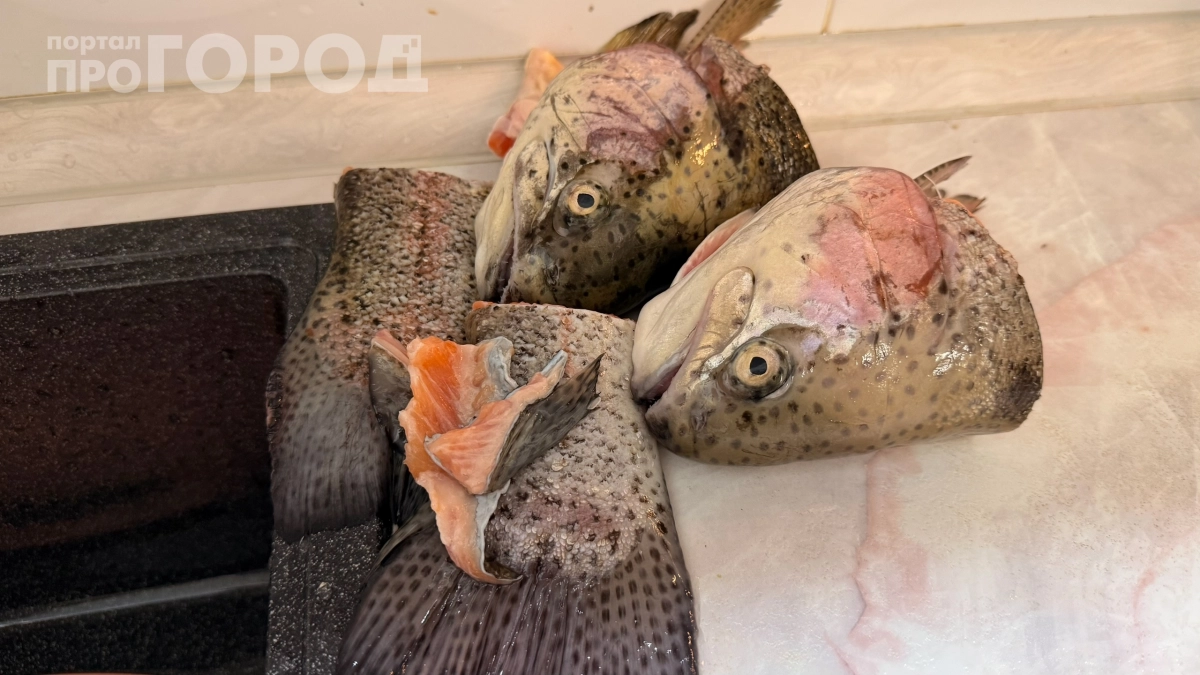 Секрет русских мастеров, который не смогли повторить на Западе: почему мебель держалась веками 