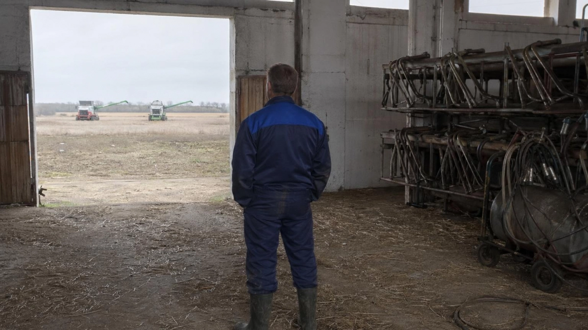 Животноводство в Курской области сокращается — молодёжь уходит с села