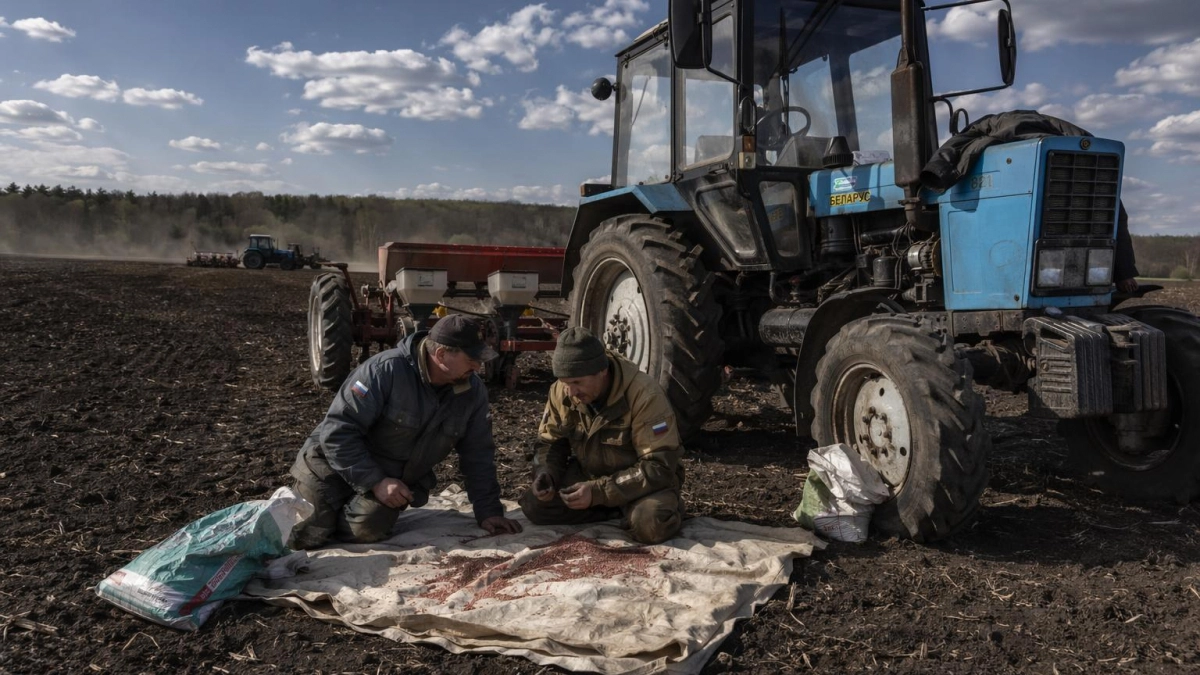Посевная в Курской области стартовала с двухнедельным отставанием из-за погоды