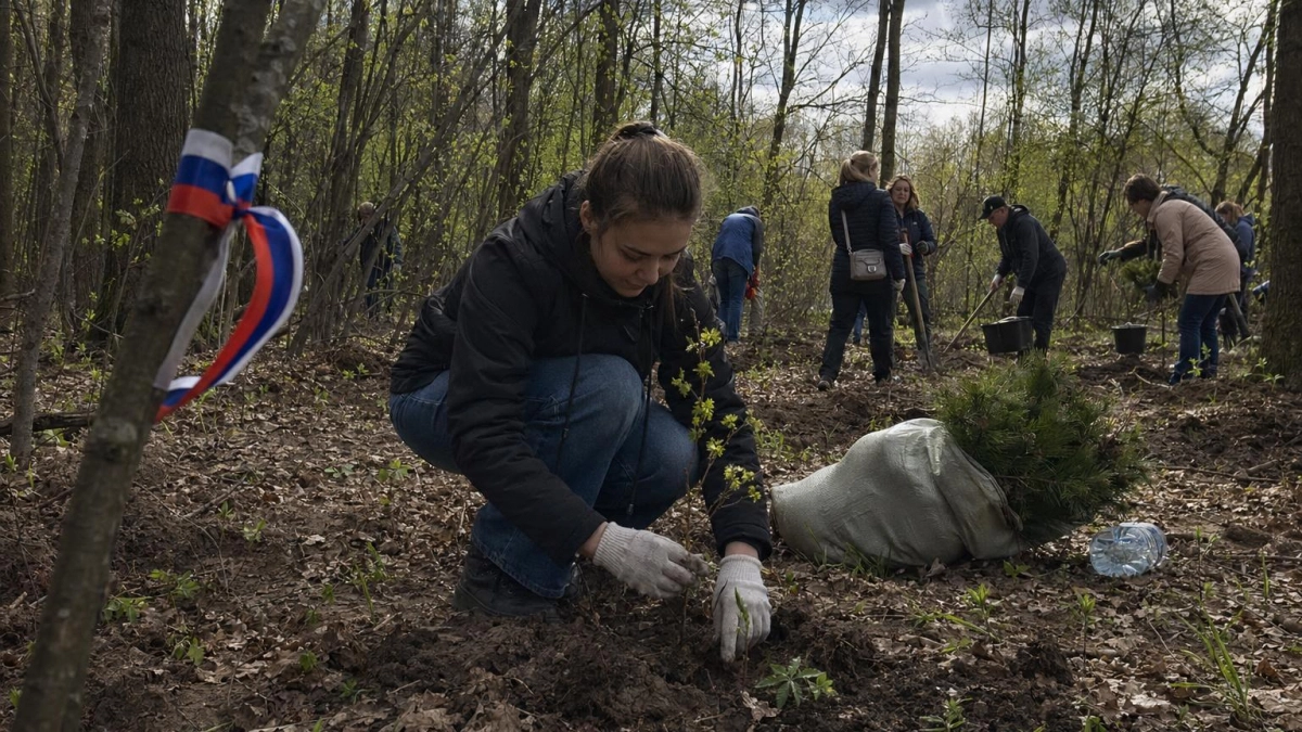 В Железногорском районе заложили «Сад памяти» из 6000 дубов и сосен