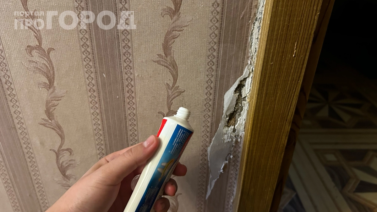 Зубная паста вместо шпаклёвки: как заделать дыру в стене без ремонта и стройматериалов за 5 минут