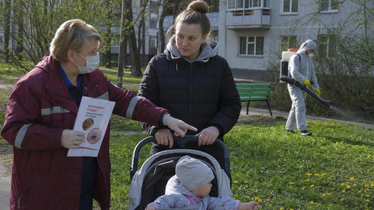 В Курской области с начала сезона клещи укусили 171 человека, среди них 67 детей