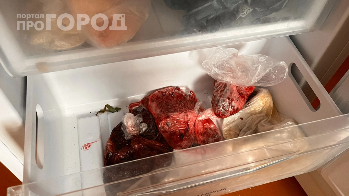 Вы замораживаете это — и зря: 5 овощей, которые теряют вкус и форму после морозилки